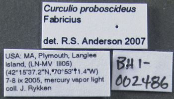 Media type: image;   Entomology 603216 Aspect: labels